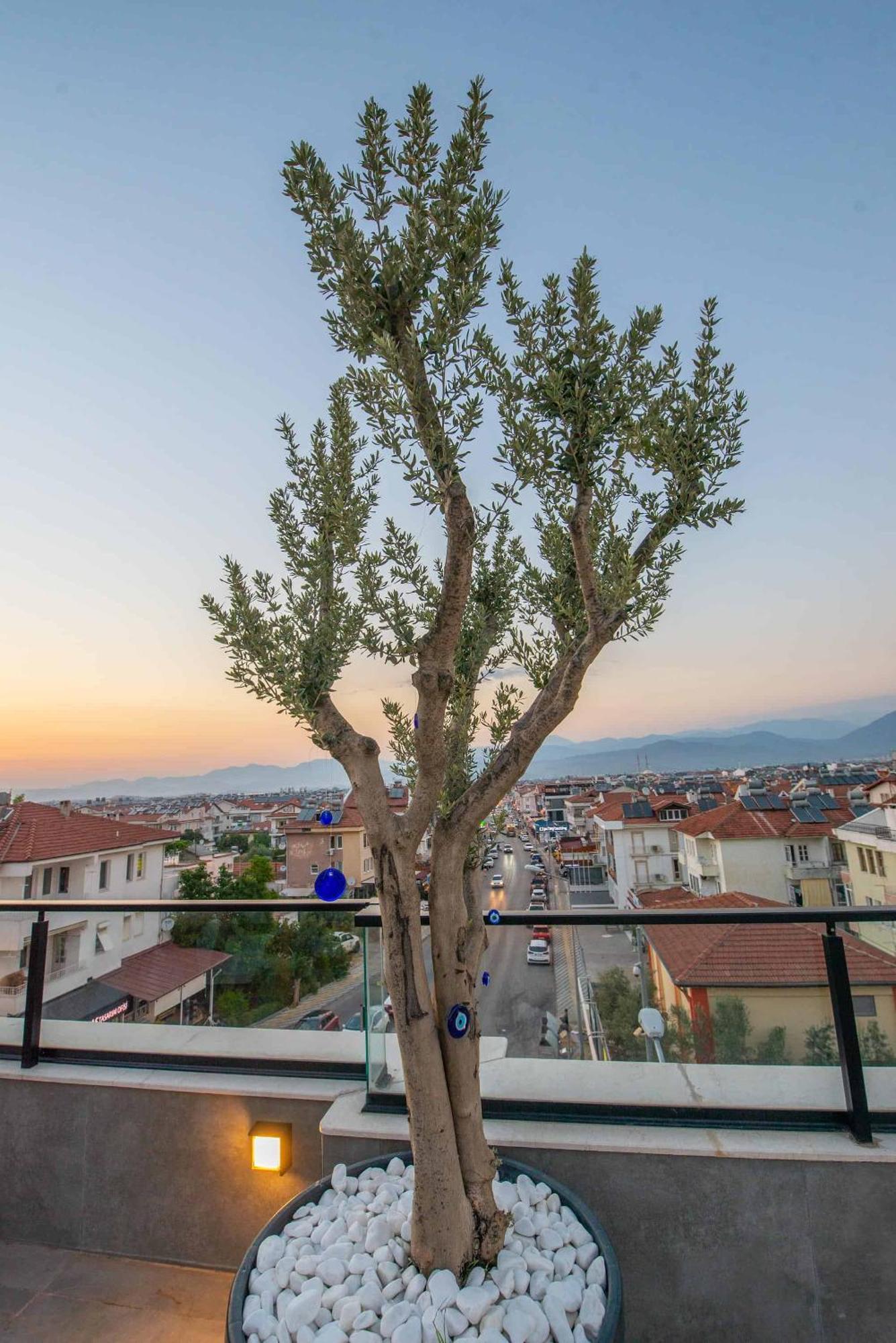 Belci City House Φετιγιέ Εξωτερικό φωτογραφία